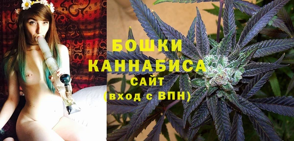 амф Аркадак