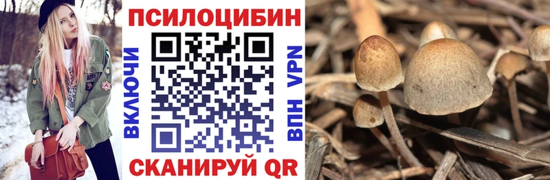 Галлюциногенные грибы ЛСД  купить наркотик  Фатеж 